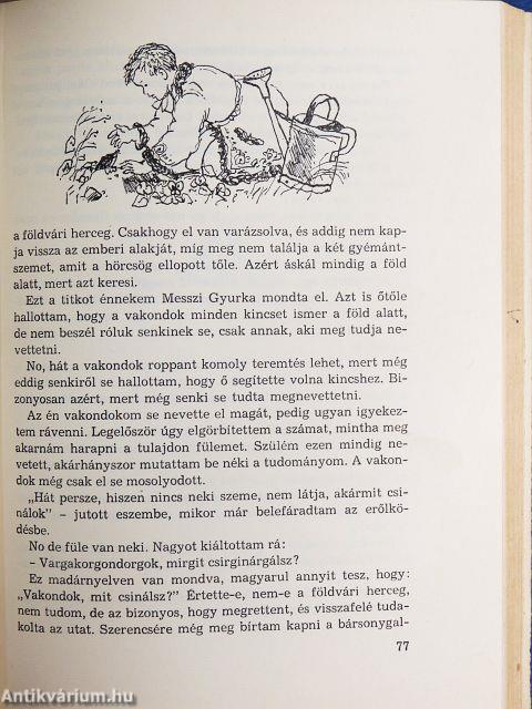 Kincskereső kisködmön