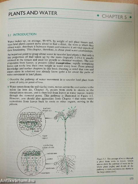 Plant Physiology