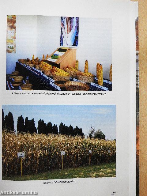 Százéves a Gabonakutató