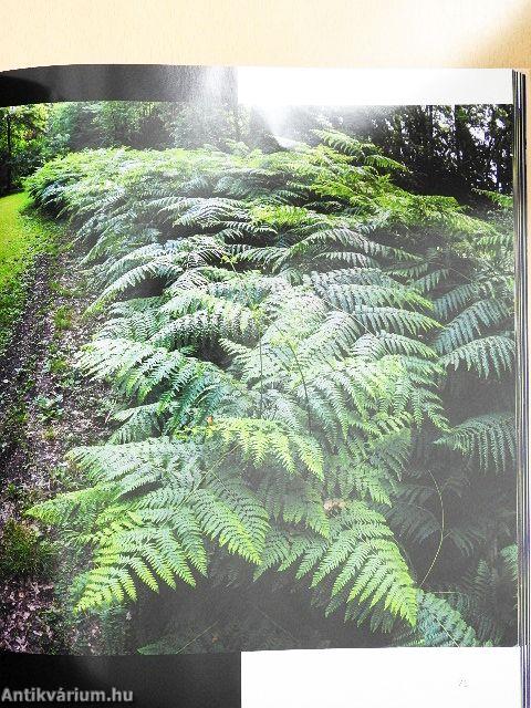 A Szarvasi Arborétum