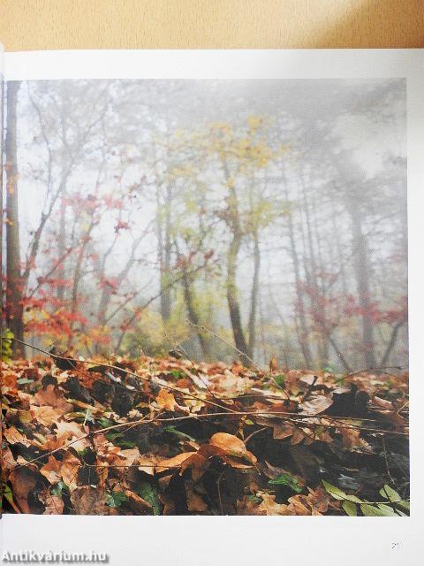 A Szarvasi Arborétum