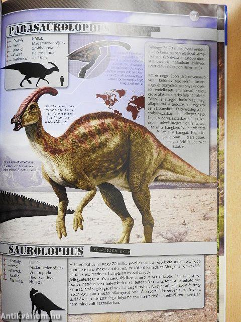 A dinoszauruszok világa