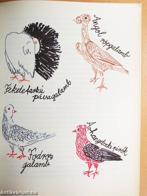 Így nem szabad, így lehet, így kell