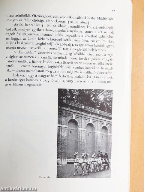 A magyar kocsizás