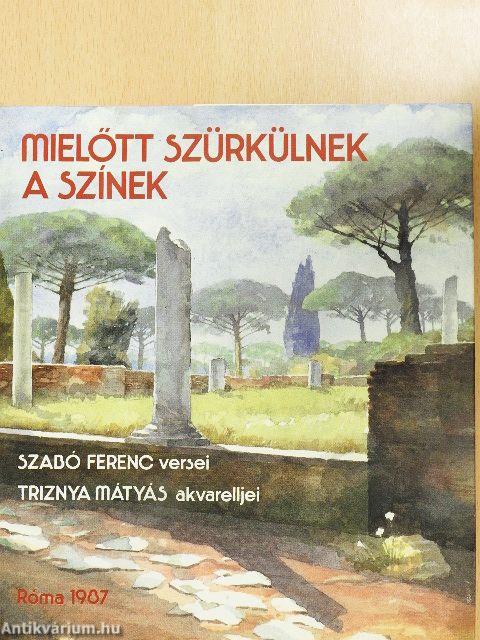 Mielőtt szürkülnek a színek