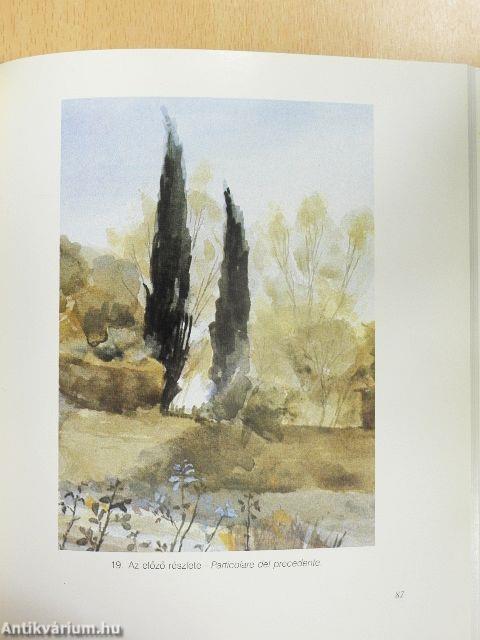 Mielőtt szürkülnek a színek