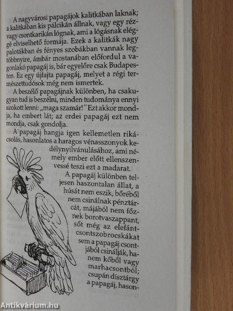 Képtelen természetrajz