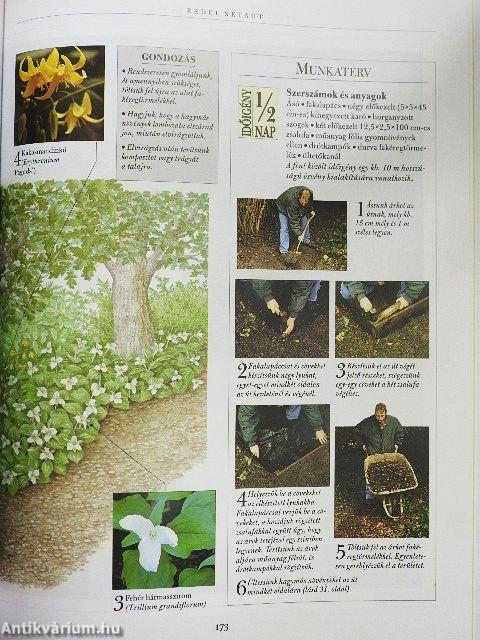 A hétvégi kertész