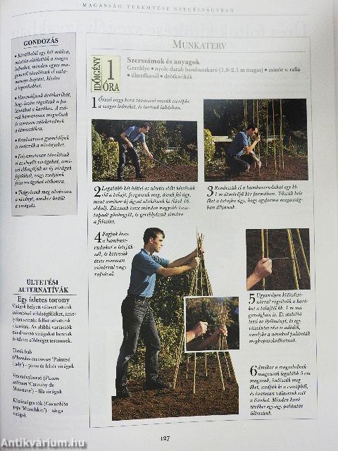 A hétvégi kertész