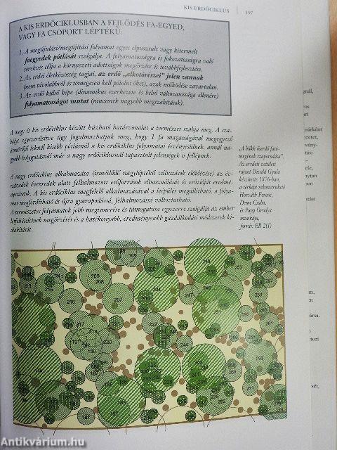 Őserdők a Kárpát-medencében