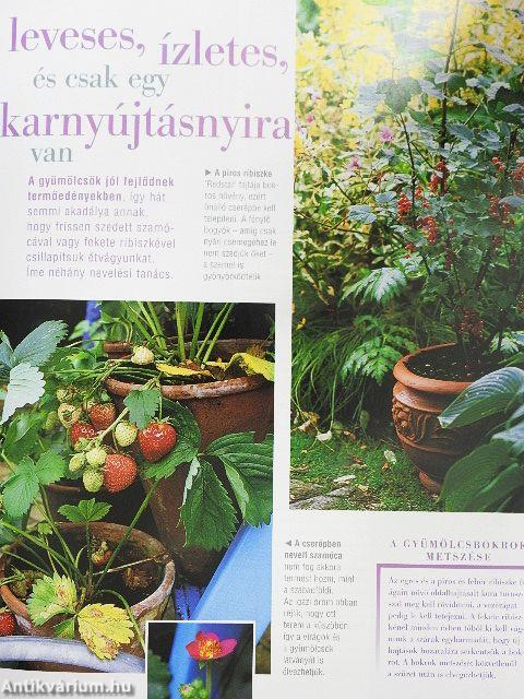 Kertészkedjünk balkonon, teraszon!