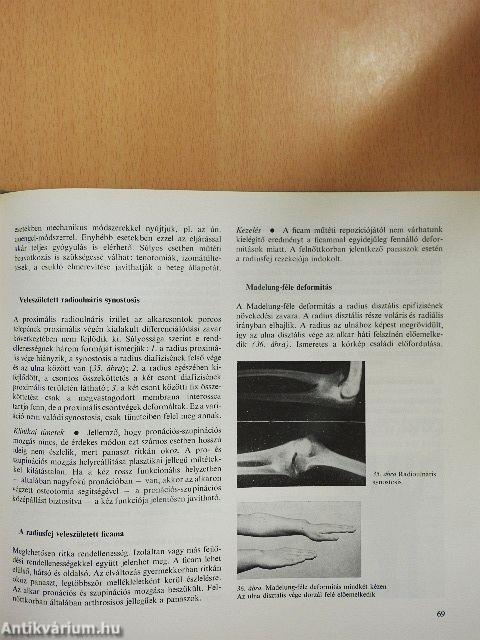 Az ortopédia tankönyve