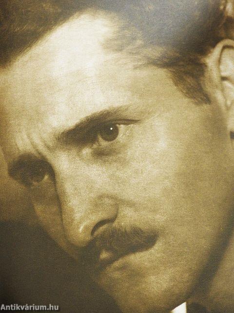 "Meggyötörten is gyönyörű"