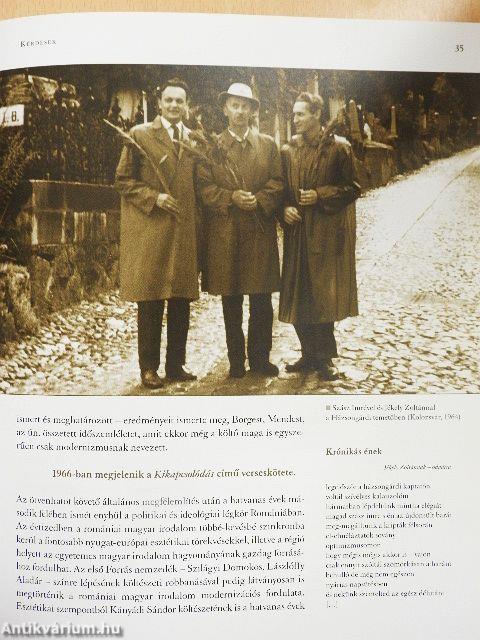 "Meggyötörten is gyönyörű"