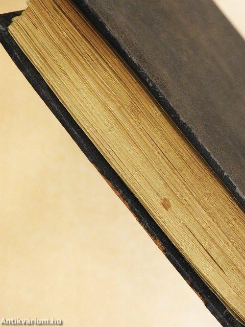 A nagy ház asszonykája