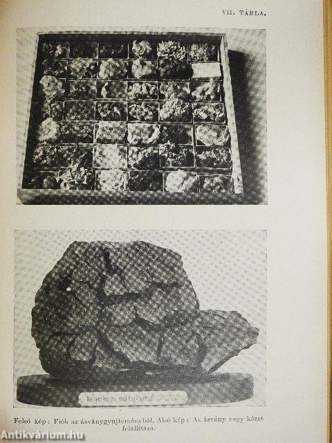 Gyűjtés hegyen-völgyön