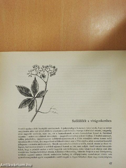 Újabb virágoskönyv