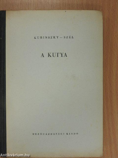 A kutya