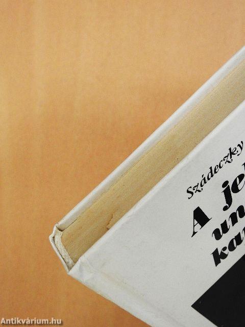 A jelenségek univerzális kapcsolódása