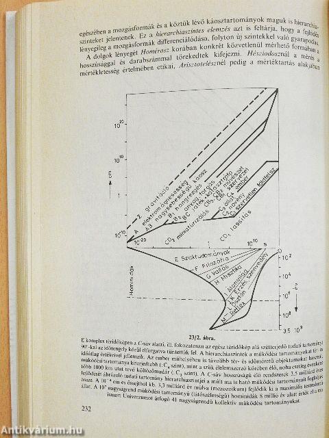 A jelenségek univerzális kapcsolódása