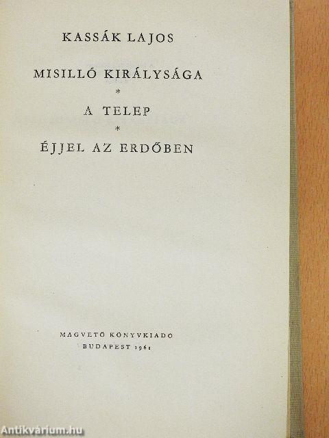 Misilló királysága/A telep/Éjjel az erdőben