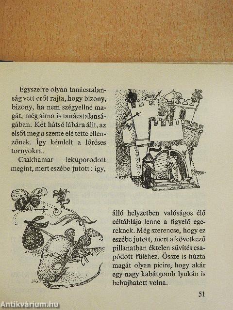 Macskabosszantó Makula