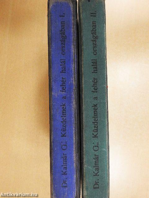 Küzdelmek a Fehér halál országában I-II.