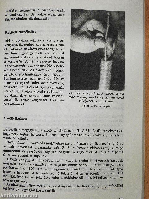 Oltás, szemzés, dugványozás