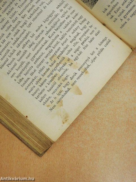 Robinson Crusoe élete és viszontagságai