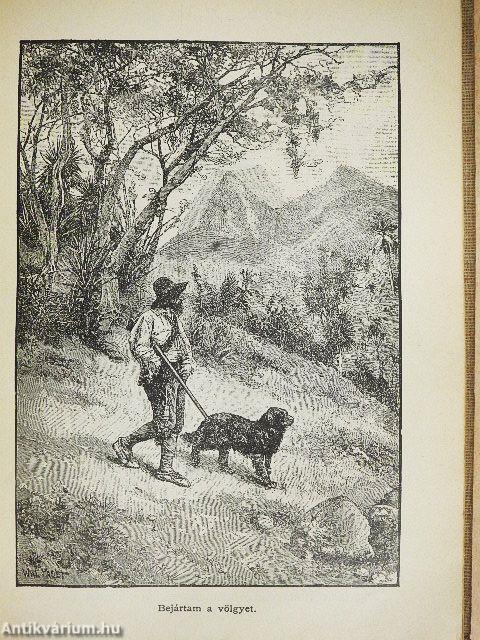 Robinson Crusoe élete és viszontagságai