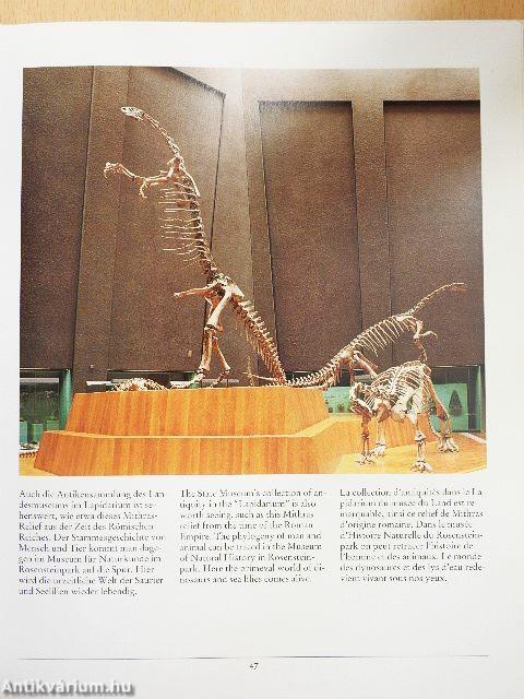 So schön ist Stuttgart