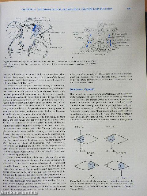 Principles of Neurology