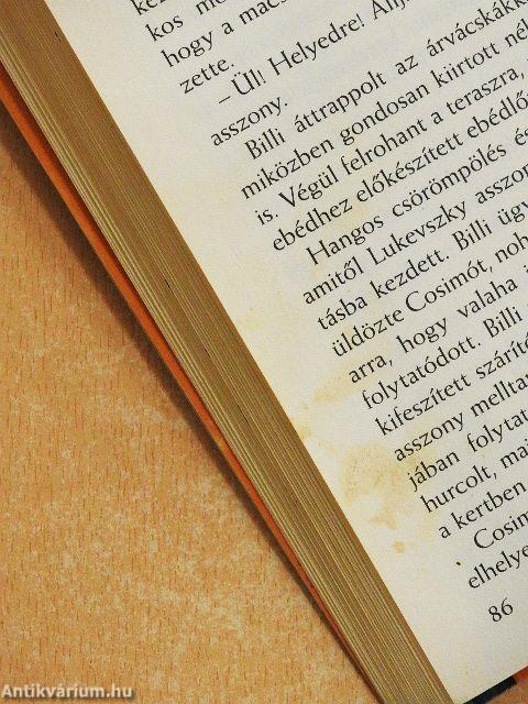 Nini, egy bébiboszi!