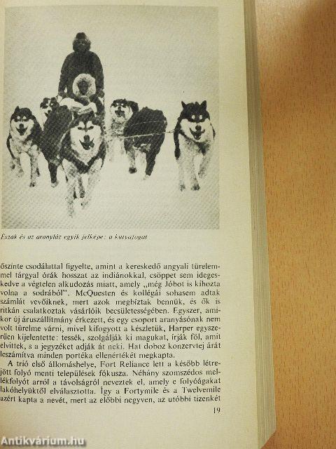 Aranyláz Alaszkában