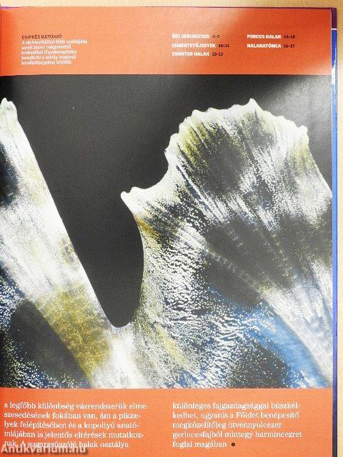 Halak és kétéltűek