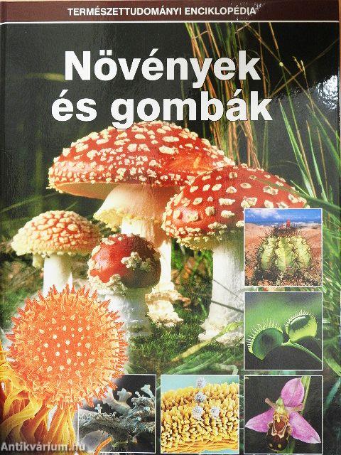 Növények és gombák