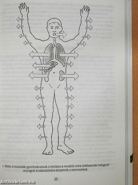 Gyógyító természet