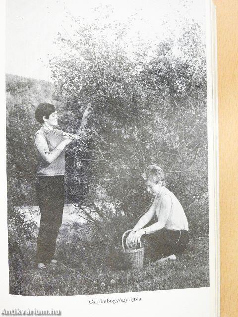 Gyógyító növények