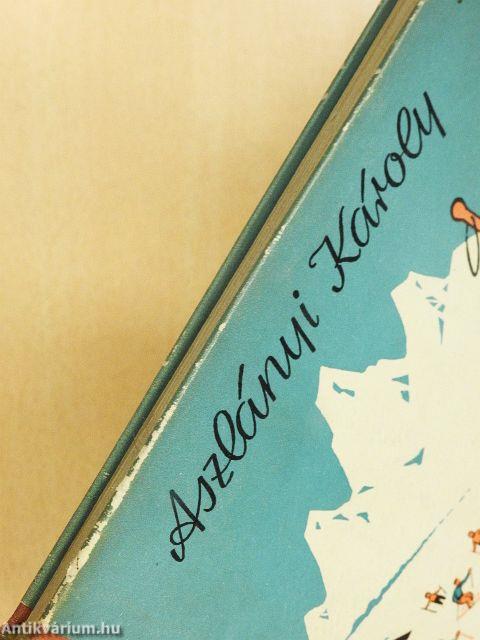 Az északi park felfedezése