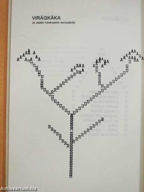 Halicanumi rapszódia (dedikált példány)