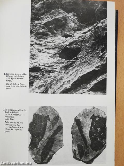 Eger múltja a jelenben (dedikált példány)