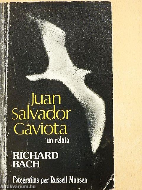 Juan Salvador Gaviota