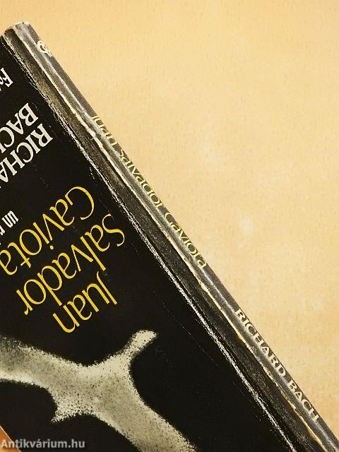 Juan Salvador Gaviota