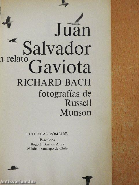 Juan Salvador Gaviota
