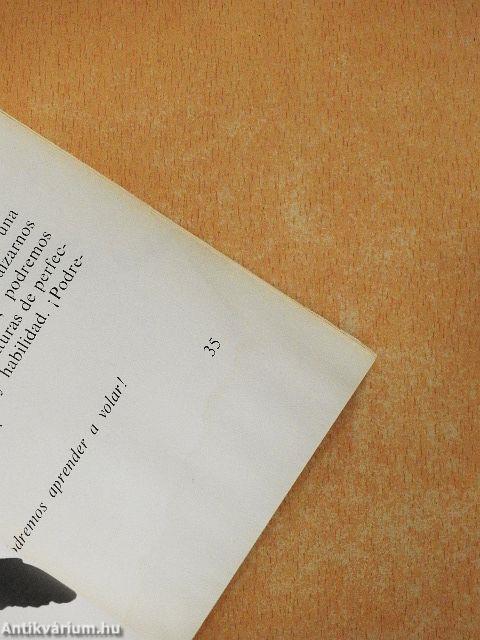 Juan Salvador Gaviota