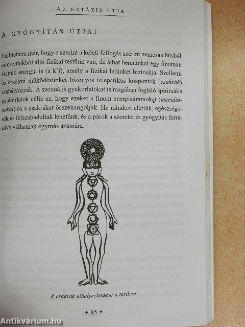 Gyógyító szerelem