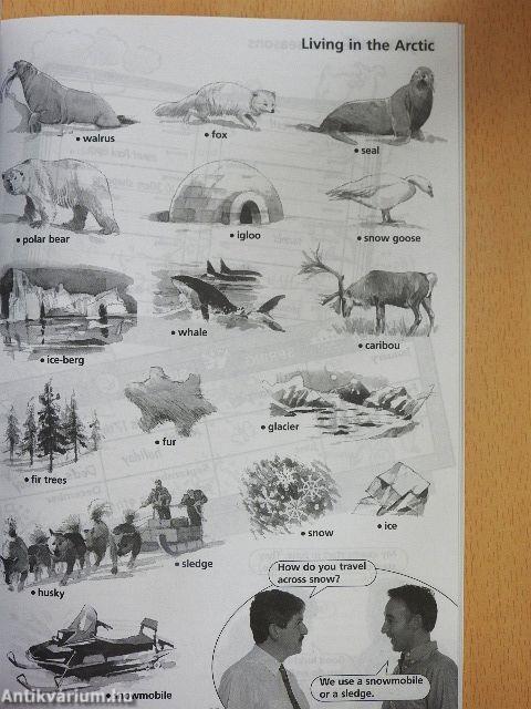 Opportunities Elementary