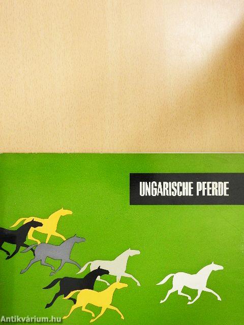Ungarische pferde