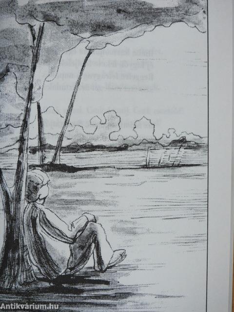 Üzenet (dedikált példány)