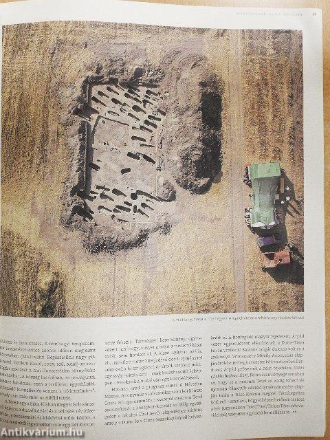 Múzeumcafé 2007. október